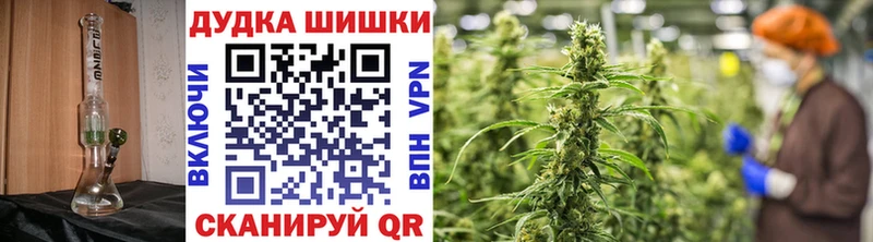 Купить где Полтавская Конопля ГИДРОПОН